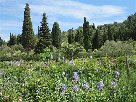 la route des parfums|Jardins du Musée International de la Parfumerie à Grasse.